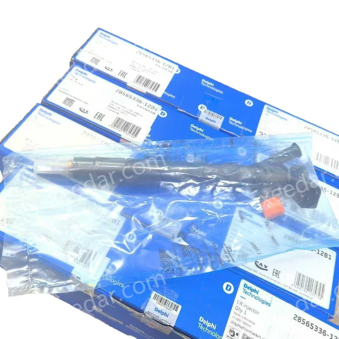 Delphi 28565336-12B1 Fuel Injector for GM